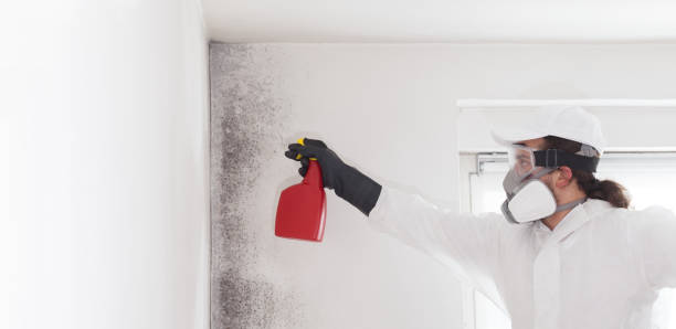 Best Emergency Mold Removal  in Merriam Woods, MO